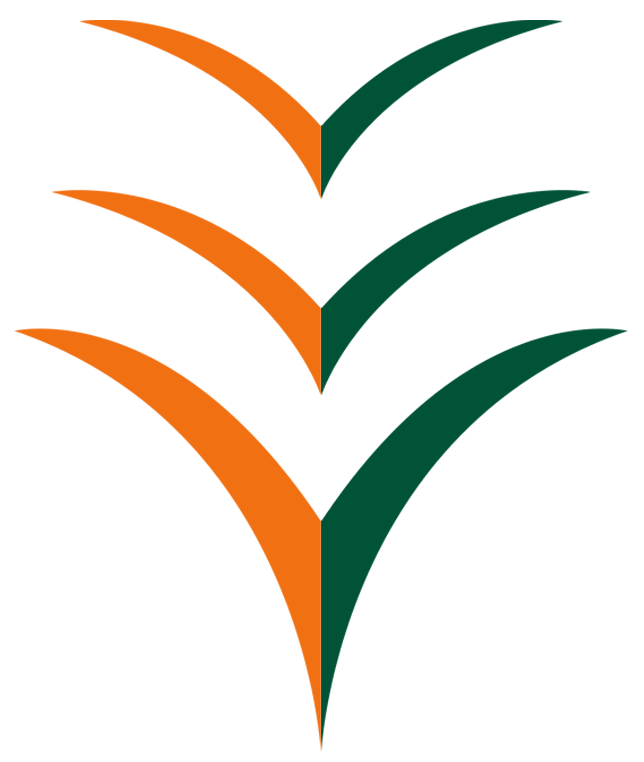 Ibom Air – A New Experience logo